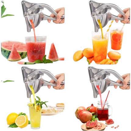 Manual Fruit Juicer Press